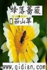 蜂落蔷薇